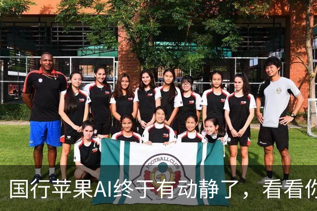 国行苹果AI终于有动静了，看看你的iPhone能不能更“聪明”