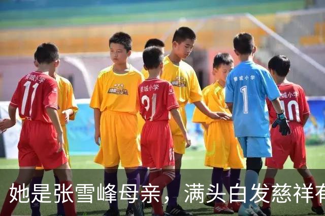 她是张雪峰母亲，满头白发慈祥有智慧，儿子去世7个月仍无法释怀
