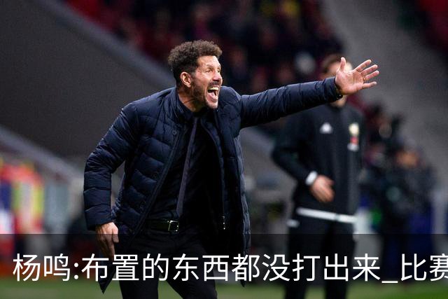 杨鸣:布置的东西都没打出来 比赛打得一塌糊涂