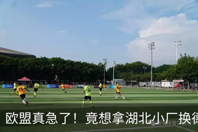 欧盟真急了！竟想拿湖北小厂换德国12人作坊，阿斯麦供应链要断了