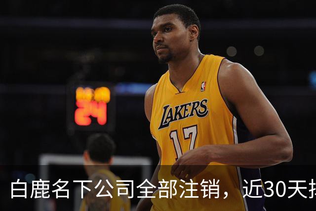 白鹿名下公司全部注销，近30天掉粉超144万，独立运营过渡期引关注