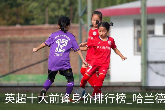 英超十大前锋身价排行榜 哈兰德2亿欧遥遥领先