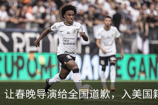 让春晚导演给全国道歉，入美国籍回中国捞金，她到底有什么来头？