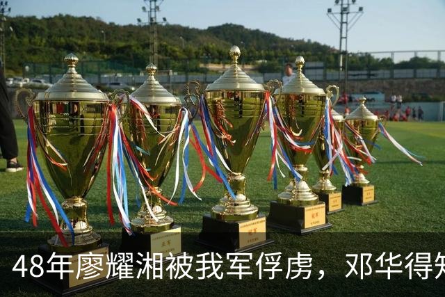 48年廖耀湘被我军俘虏，邓华得知后走到他身边：给你根好烟抽抽！