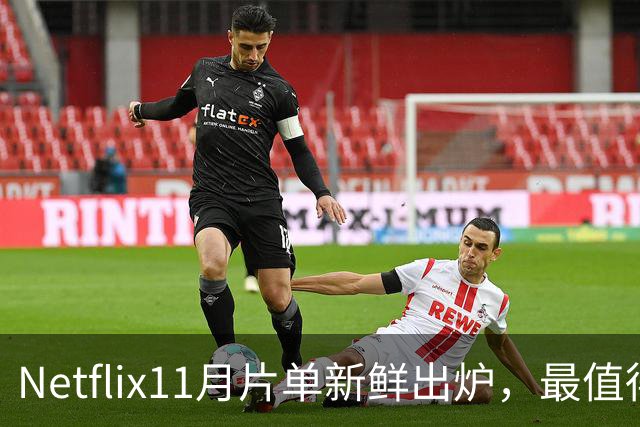Netflix11月片单新鲜出炉，最值得看的都在这里了！